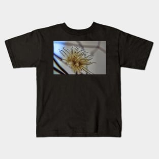 Clematis Seed Head Kids T-Shirt